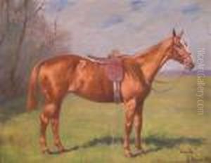 Gamble by George Paice
