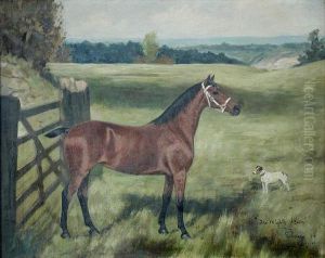 Study Of A Hunter "themighty Atom" And Jack Russell Terrier