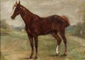 Cavallo
Cavallo by George Paice