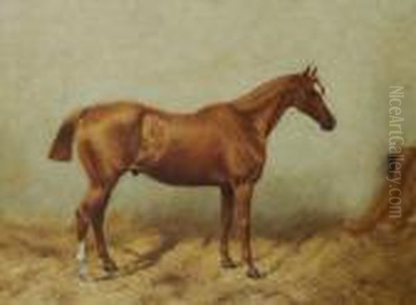 Chestnut Horse In Stable - view 1