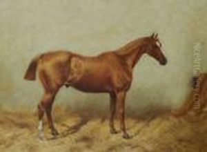 Chestnut Horse In Stable by George Paice