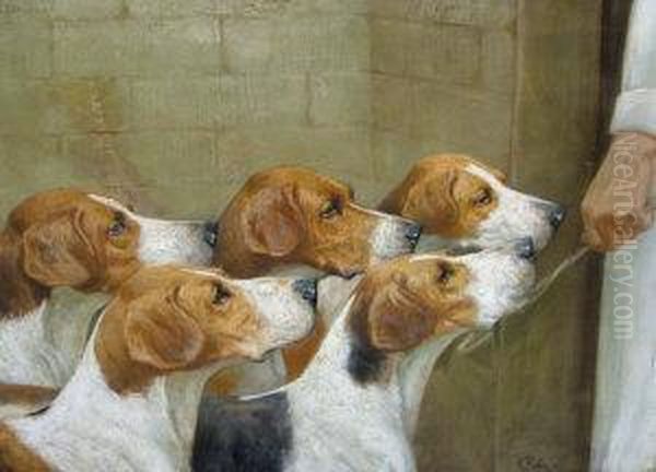 Group Portrait Of Five Hunting Hounds - view 1