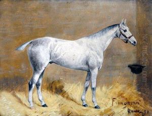 Franciscan, Study Of A Grey Horse In A Stable Interior