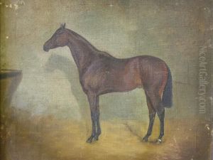 Study Of A Horse Study Of A Horse