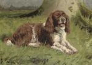 Budge, A Spaniel by George Paice
