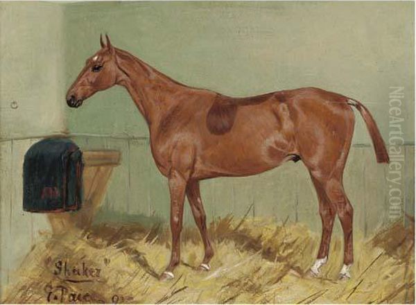 Shaker - view 1