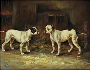  Les Boston Terriers  by George Paice