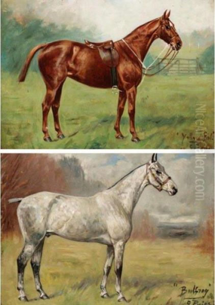 Six Horse Portraits - view 1