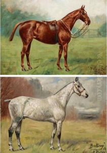 Six Horse Portraits by George Paice