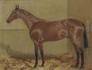 Sir T. Gallway's Leinster In A Stable