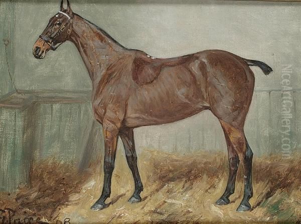 Portrait Of A Bay Hunter In A Stable - view 1