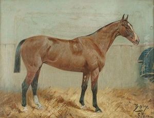 'baby', Portrait Of A Horse In A Stable