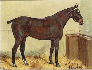 Maybey by George Paice