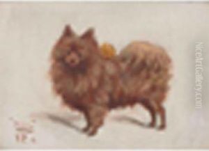 Anonimo by George Paice