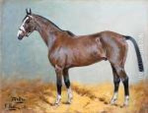 The Bay Hunter Winning Post; The Race Horse Maid Marion; And Thebay Hunter Melton by George Paice
