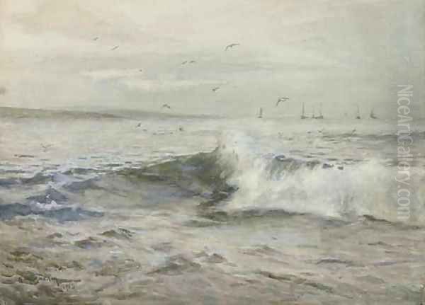 Gulls playing in the surf off the Cornish coast - view 1