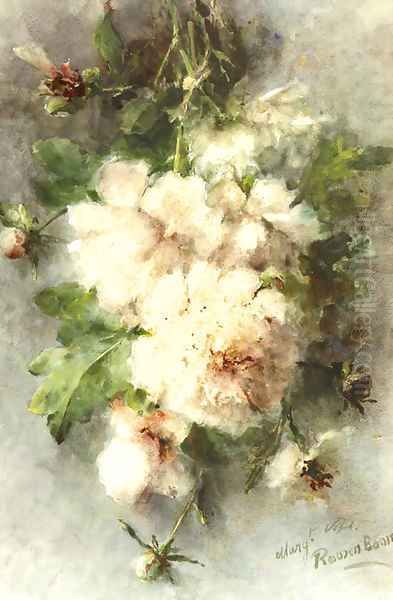 Peonies in bloom - view 1