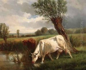 Cows by Aleksander Raczynski