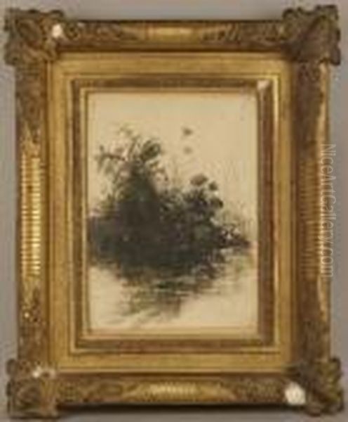 ''cespuglio'' - view 1