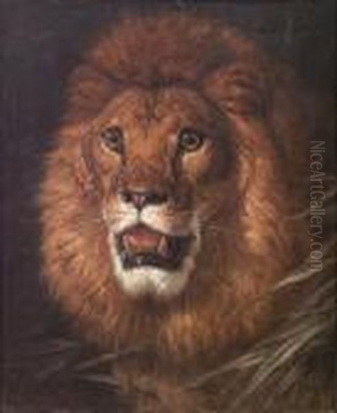The Lion - view 1