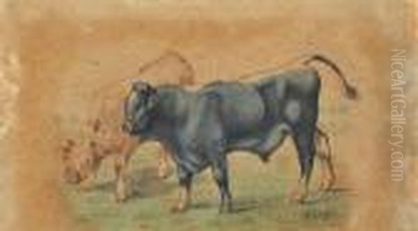 Buoi - view 1