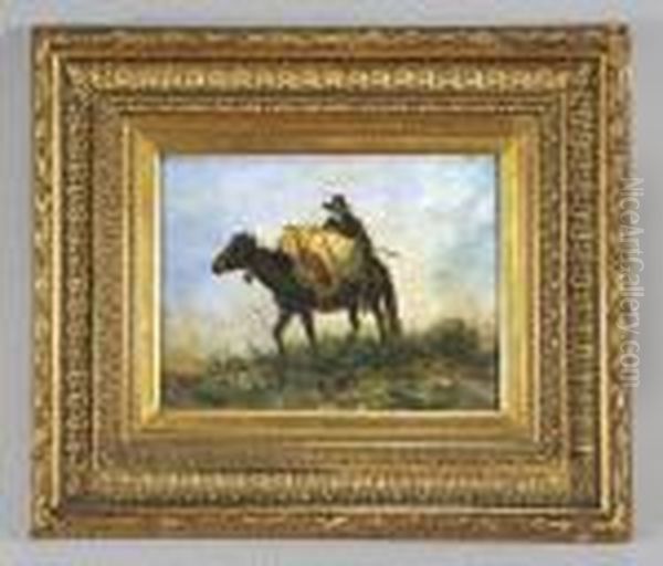 Pastorello A Cavallo Di Un Asino - view 1