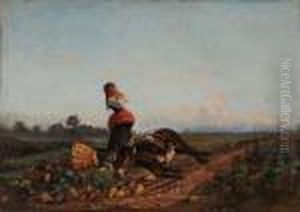 La Caduta Del Somaro La Caduta Del Somaro