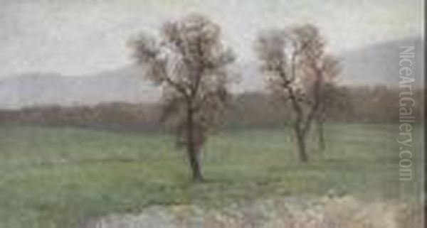 Paesaggio Con Alberi - view 1