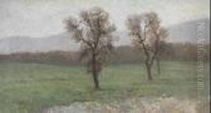 Paesaggio Con Alberi
