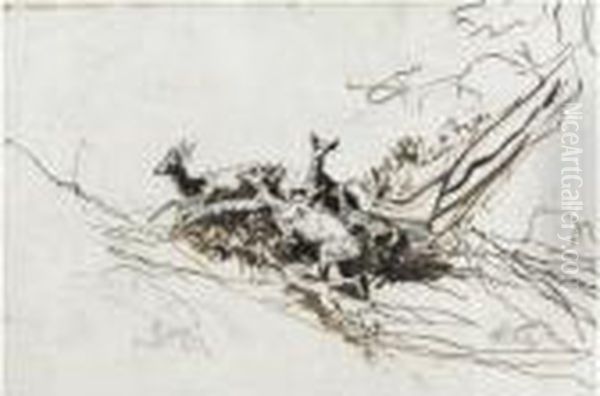 Vari Studi Di Animali - view 1