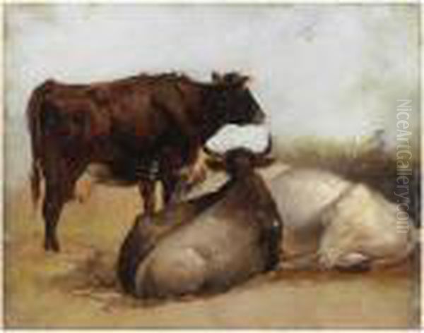 Studio Di Animali - view 1