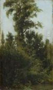 Paesaggio Boschivo by Filippo Palizzi