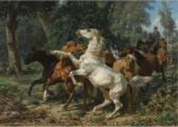 A Herd Of Horses - view 1