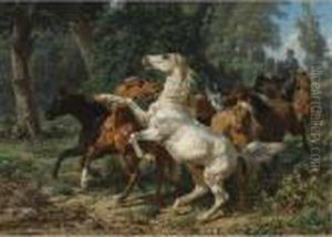 A Herd Of Horses