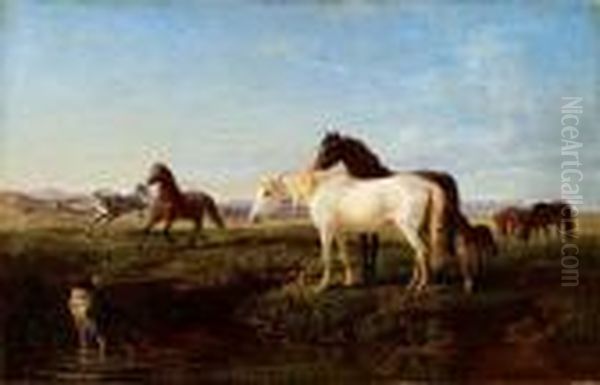 Cavalli Al Pascolo - view 1