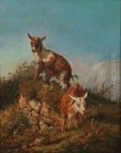 Caprette Inmontagna