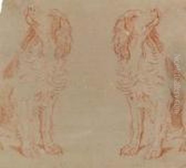 Studio Di Cane - view 1