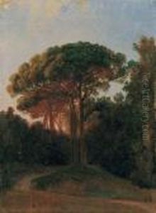 Studio Di Alberi Nel Parco Di Capodimonte Studio Di Alberi Nel Parco Di Capodimonte