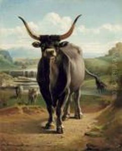 Il Toro