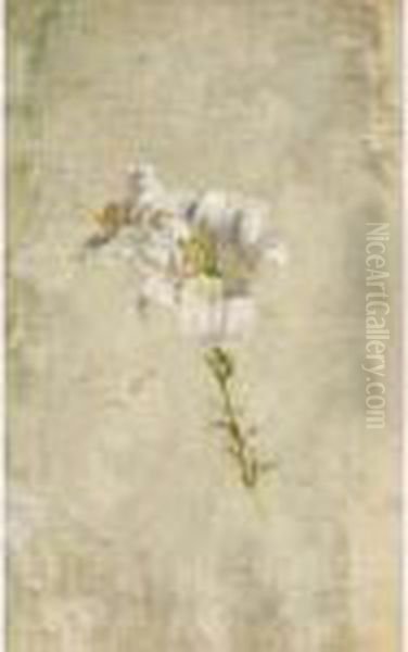 Il Giglio Bianco - view 1