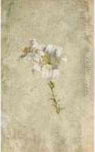 Il Giglio Bianco by Filippo Palizzi