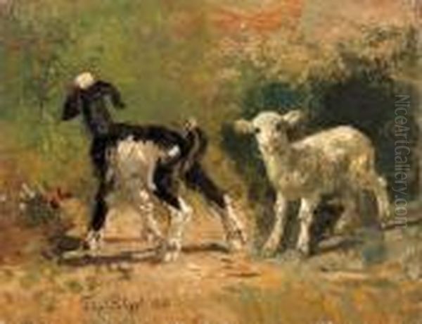 Capretta E Agnello - view 1
