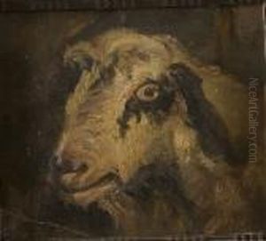 Testa Di Capra by Giuseppe Palizzi