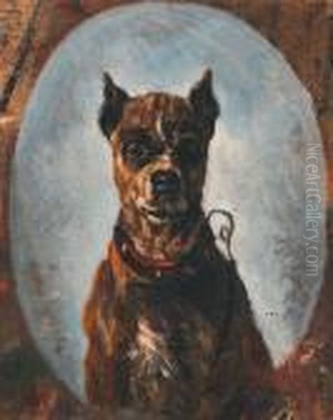 Cane Da Guardia - view 1