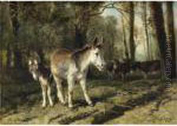 Asinelli - view 1
