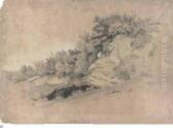 Paesaggio Con Rocce Ed Arbusti - view 1