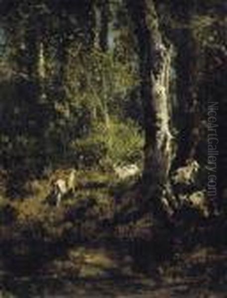 Goats Grazing In A Forest Landscape - view 1