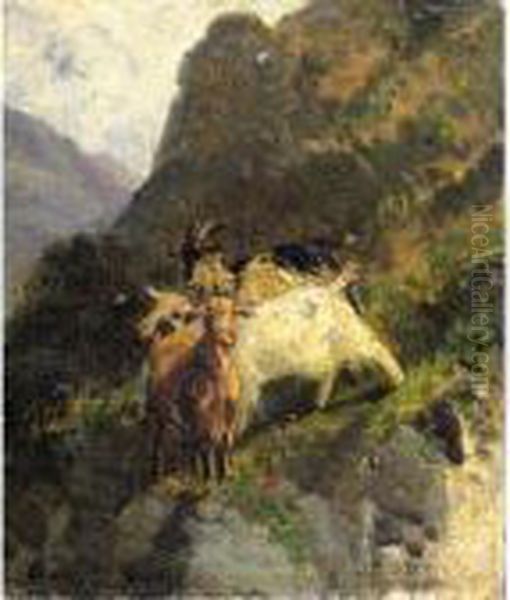 Caprette In Montagna - view 1