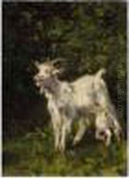 Goat And Its Kid - view 1