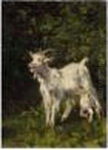 Goat And Its Kid Goat And Its Kid